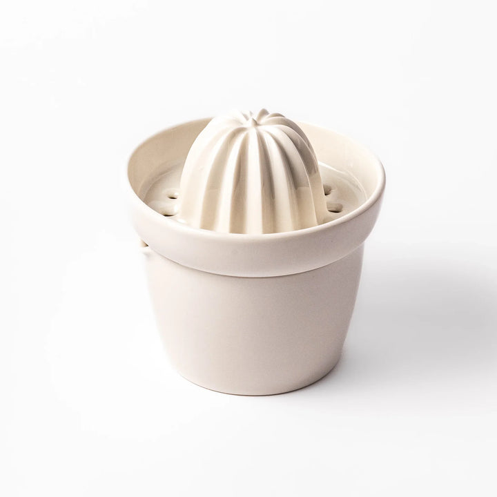 White ceramic citrus juicer with ridged reamer and built-in strainer, designed for effortlessly extracting juice from lemons, limes, and other citrus fruits.