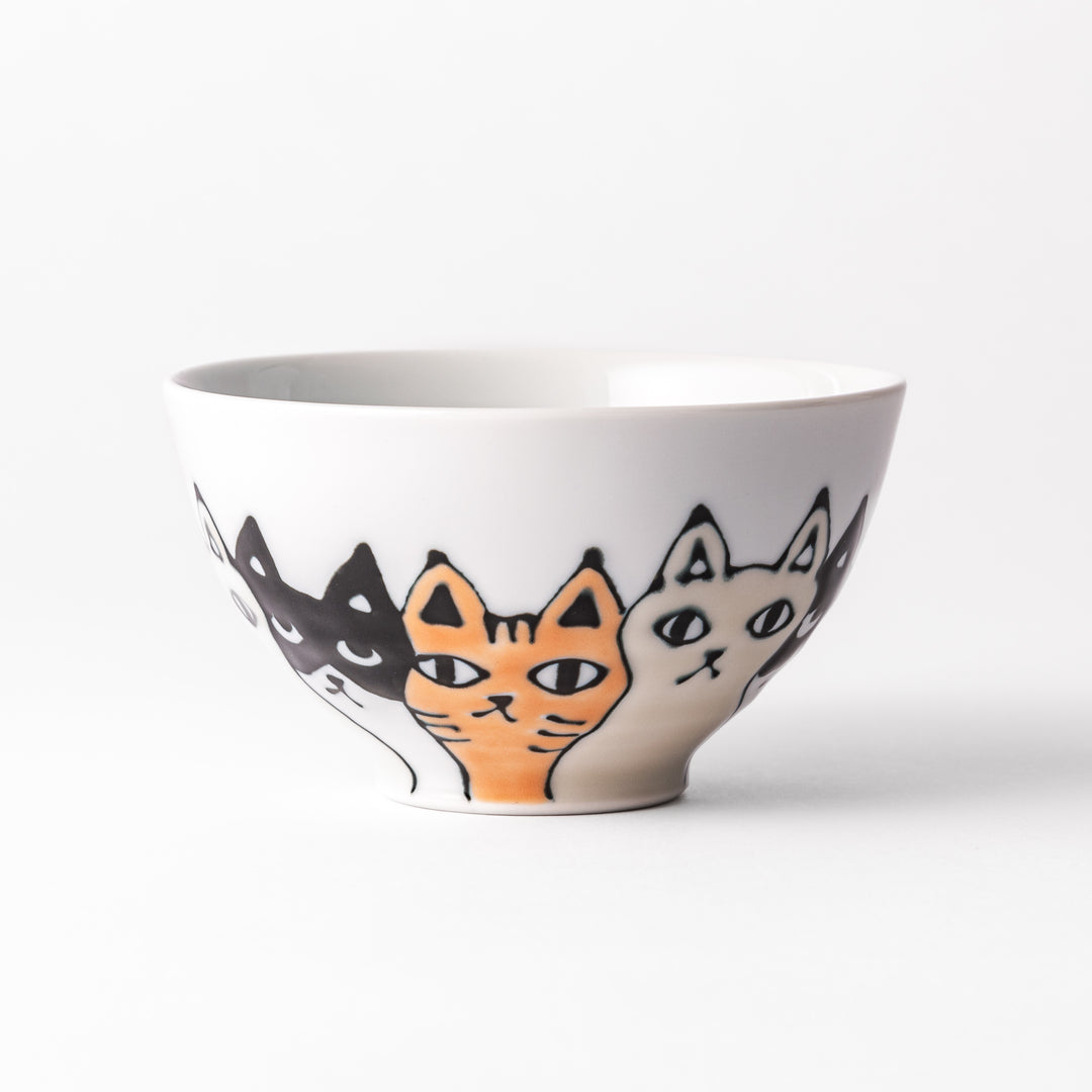 Curious Cats Rice Bowl