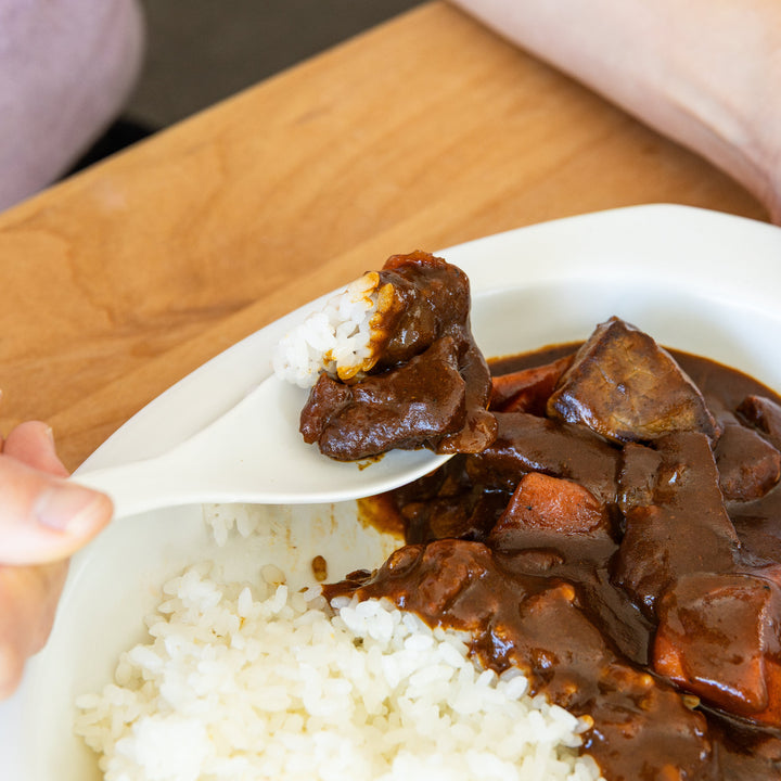 Ceramic curry plate with Japanese beef curry and rice served on oval white plate