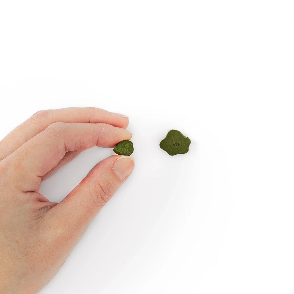 Japanese matcha pressed incense pieces in floral and leaf shapes, green scented incense for relaxation and home fragrance