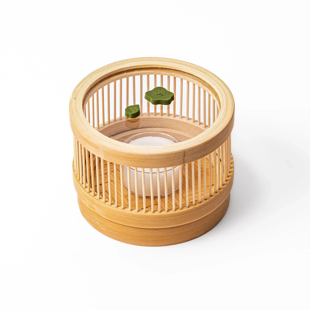 Japanese matcha pressed incense pieces in floral and leaf shapes, green scented incense for relaxation and home fragrance