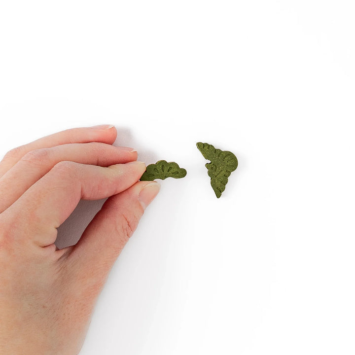 Japanese matcha pressed incense pieces in pine tree shapes, green scented incense for relaxation and home fragrance