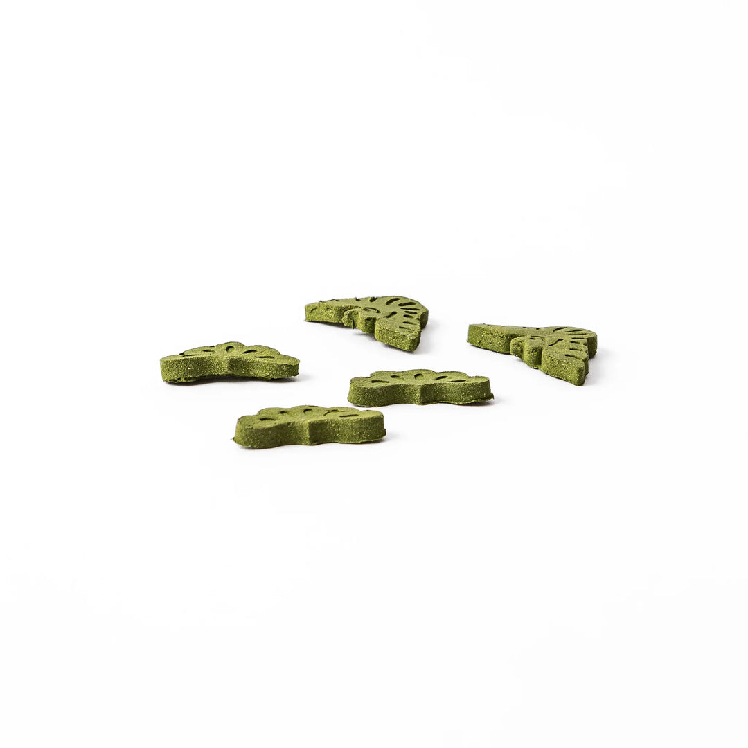 Japanese matcha pressed incense pieces in pine tree shapes, green scented incense for relaxation and home fragrance