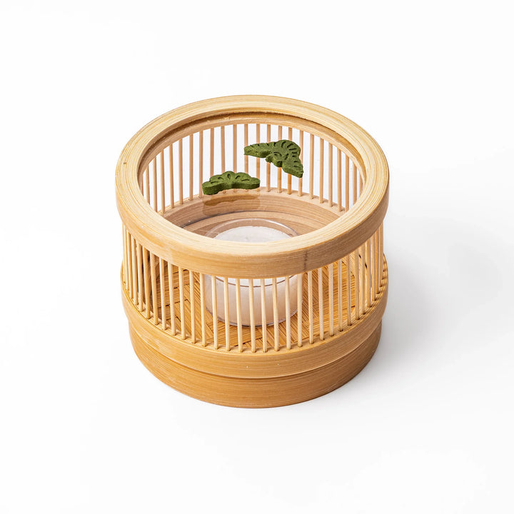 Japanese matcha pressed incense pieces in pine tree shapes, green scented incense for relaxation and home fragrance