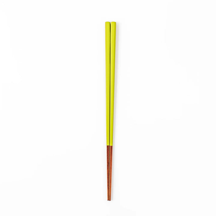 Pair of fresh leaf green Japanese traditional color bamboo chopsticks with fine tips for an elegant and precise dining experience