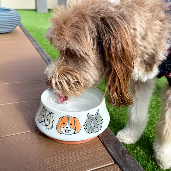 Japanese Artisan Dog Bowl – JOC Goods