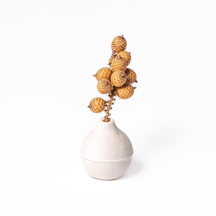 Minimalist white ceramic bud vase with an orb-like shape and subtle center ridge, ideal for adding soft, sculptural charm to any small floral display.