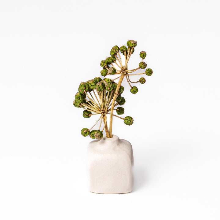 Minimalist white ceramic bud vase with a rounded square shape and narrow opening, perfect for adding subtle elegance to small floral arrangements.