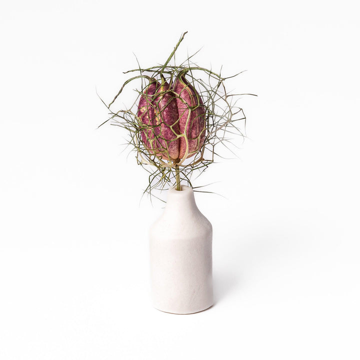 Minimalist white ceramic bud vase with a cylindrical body and narrow neck, perfect for single stems and adding clean, modern charm to any space.
