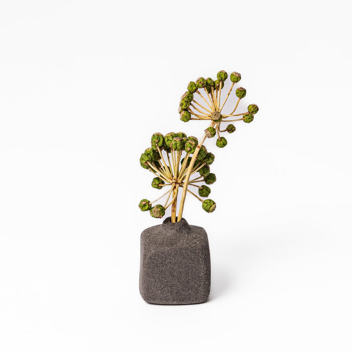 Minimalist dark ceramic bud vase with a square body and soft rounded edges, offering a modern, textured design perfect for small floral accents.