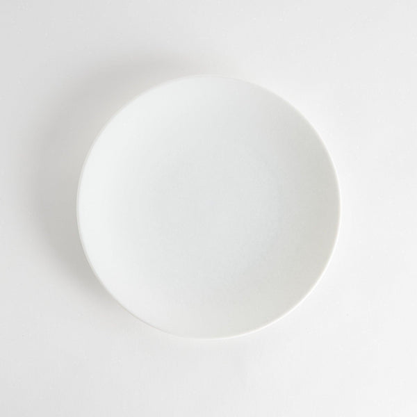 Snow Dinner Plate